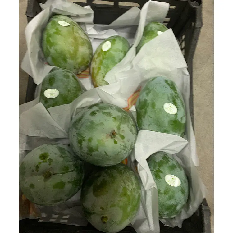  Высококачественное свежее манго премиум-класса от производителя и экспортера из Вьетнама-мисс элаин + 84 375 431 541