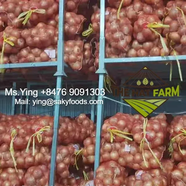 FRESH ONION - Best Price from Vietnam