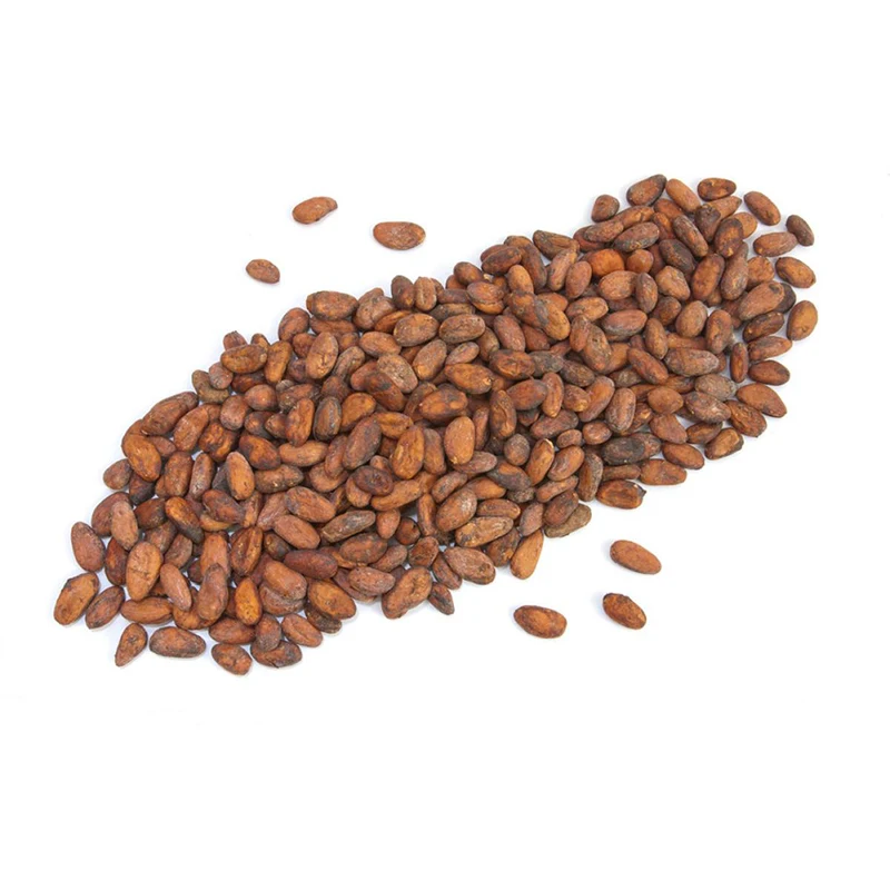 Organic Cacao Cocoa Beans  Premium Quality