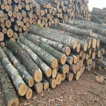 Деревянные бревна из сосны и