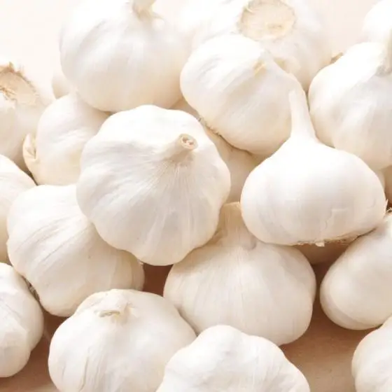 
Fresh White Garlic Clove Granule Powder Garlic 