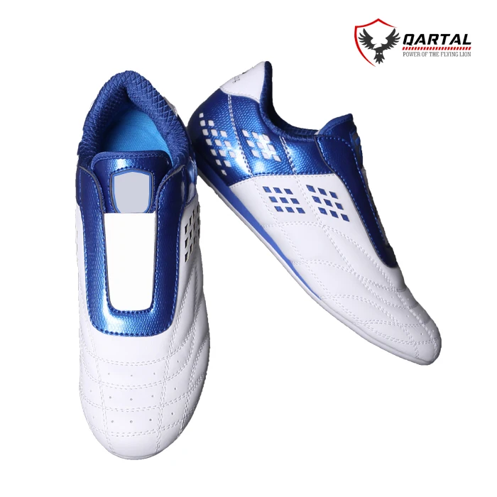 Good Quality Wholesale Martial Art Men Taekwondo Shoes 2021 For Best Sale