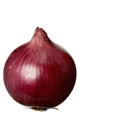 Hot Sales Quality Fresh Red Onion Available For Wholesale Buyers