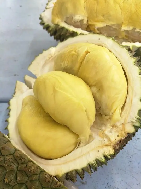 MONTHONG DURIAN - DURIAN FRUIT PRICE - VIETNAM DURIAN FRUIT (+84938244404)