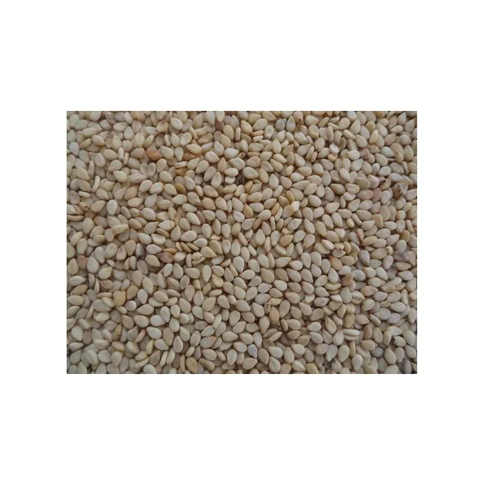 
High Purity Natural White/Hulled Sesame Seeds Supplier 
