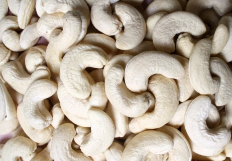 
High Quality VIETGAP Certification Grade 1 Organic Blended Fresh Cashew nut From Vietnam 