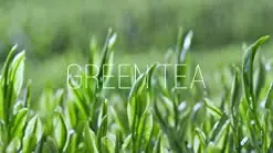 Amazon Топ уход за кожей [innisfree] Зеленый чай Семена сыворотки корейская косметика Jeju зеленый OEM ODM доступно