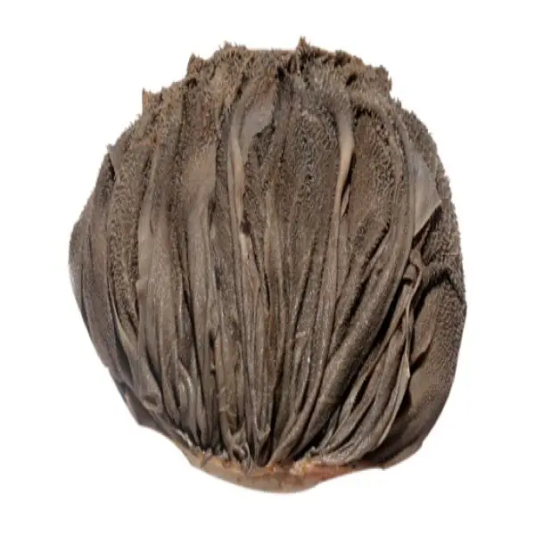 Dried salted Frozen Beef Omasum/ Cow Stomach