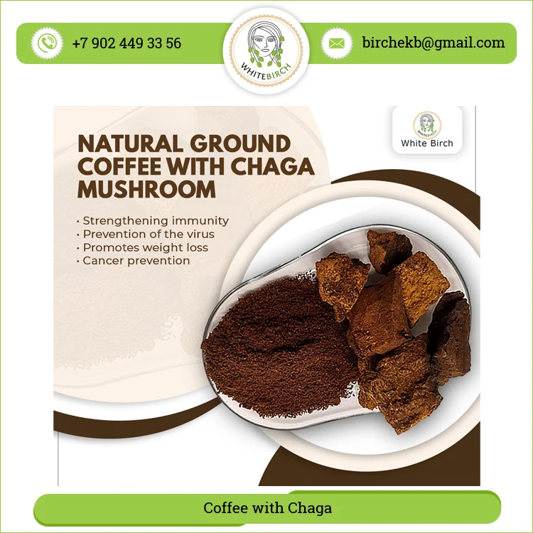 Best Quality Herbal Ingredients Chaga Mushroom Extract Chaga with Coffee Mushroom Powder