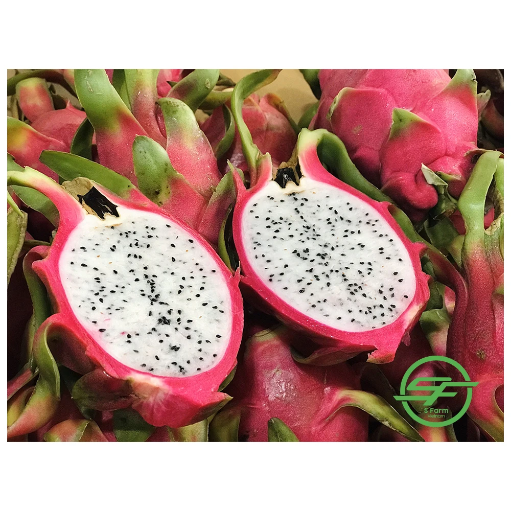 White Flesh Dragon Fruit Fresh And High Quality For Wholesale