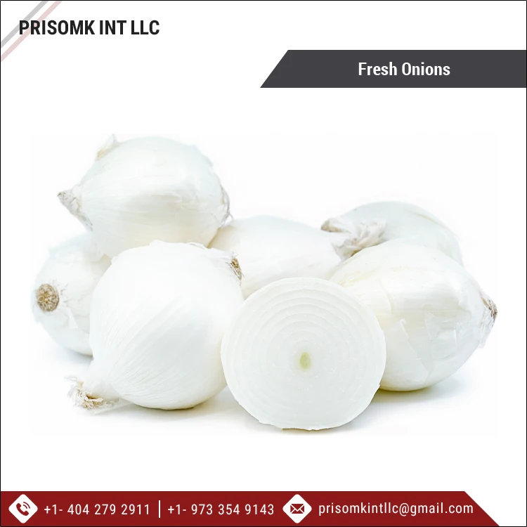 2021 New Crop Good Quality Wholesale Fresh Onions/ Onions Supplier