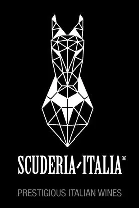 2015 CHIANTI DOCG 0.75L 13.5% Dry Merlot Italian Red Wine Elegant Event Ready Bottle Scuderia Italia Sweet Options Box Bulk Bag