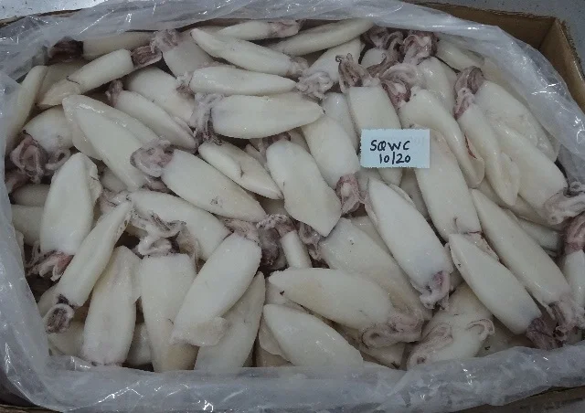 
SQUID WHOLE CLEANED SEMI NEEDLE 