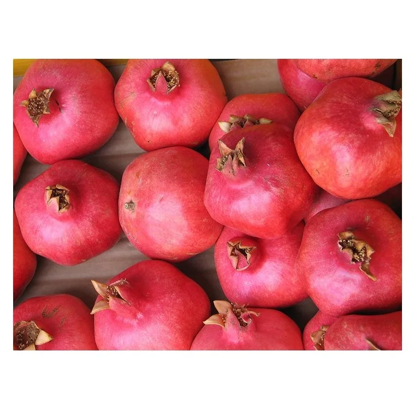 Wholesale Dealer Of Cheapest Price Fresh Fruit Pomegranates