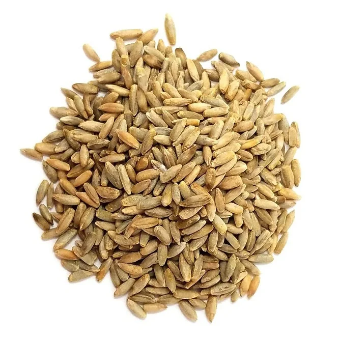High Quality Rye Grains Available For Sale