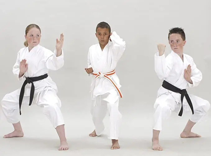 Wholesale Custom Multicolor Embroidered Belts Taekwondo Karate Martial Arts Master Belts