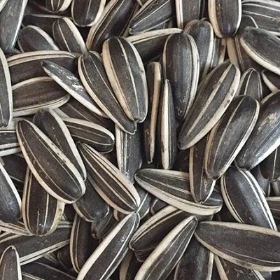 Supply sunflower seeds Raw Chinese wholesale sunflower seeds