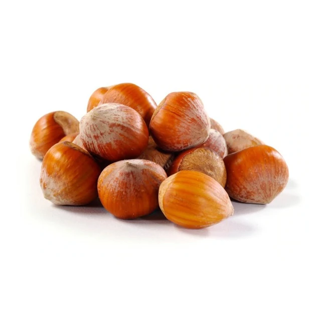 
ORGANIC Hazelnuts paste for sale Hazelnut Paste Oregon Shelf Life 24 Months No. 1 Grade Kosher And Halal Certified 