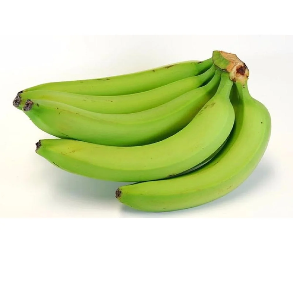 Plantains Green Plantain Banana/Fresh Green Plantains for sale