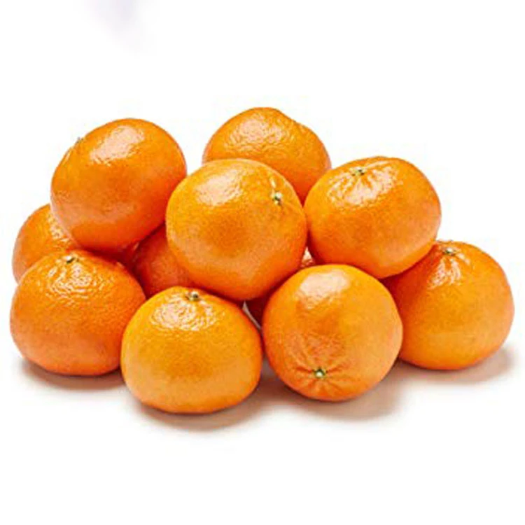 Sweet Full Juicy Mandarin Orange, Special Offer for Russian Buyers