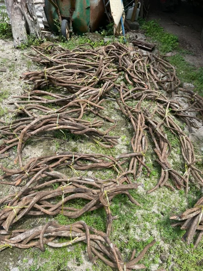 Unique Top Selling Natural Liane Wood Bird Cage Bird Reptiles Aquariums & Accessories Pet Home Pet Products Wooden Furniture