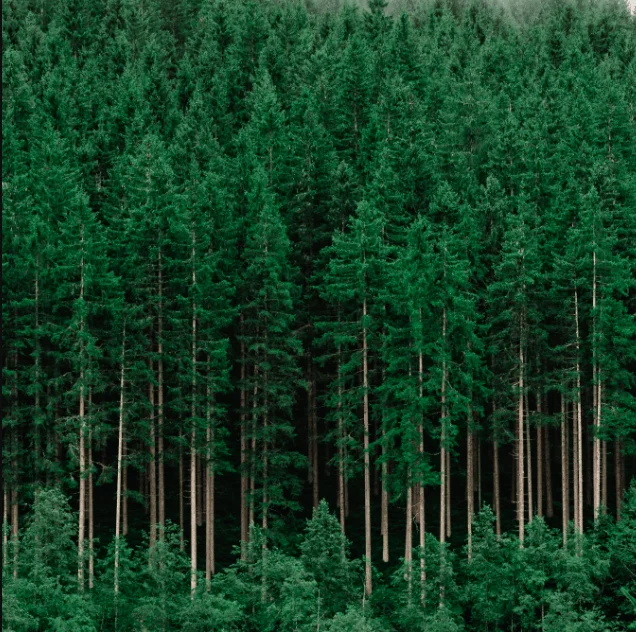 Деревянные гранулы для нагрева 15 кг, деревянные гранулы EnPlus A1