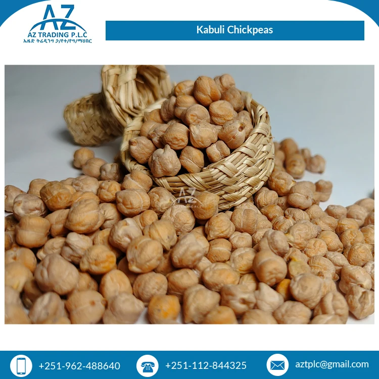 Bulk Quantity Available Dried Organic Ethiopian Kabuli Chick Peas / Chickpeas for Sale
