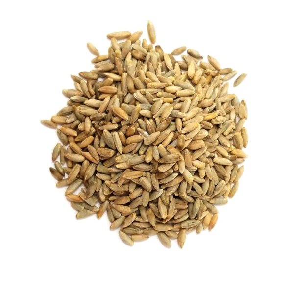 Высококачественное зерно пшеницы