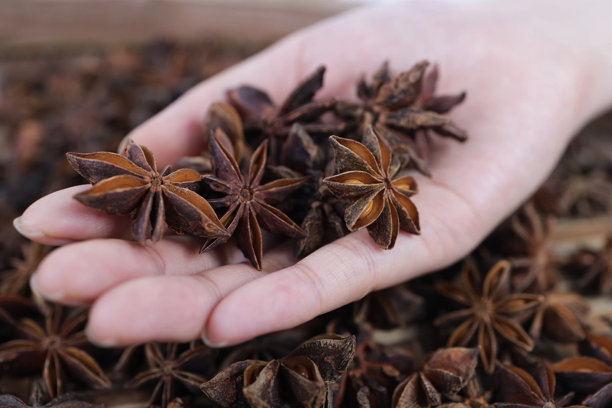 
Manual planting natural sun dried sulfur free Star Anise for seasoning used fresh spices harmless healthy meat food best partner 