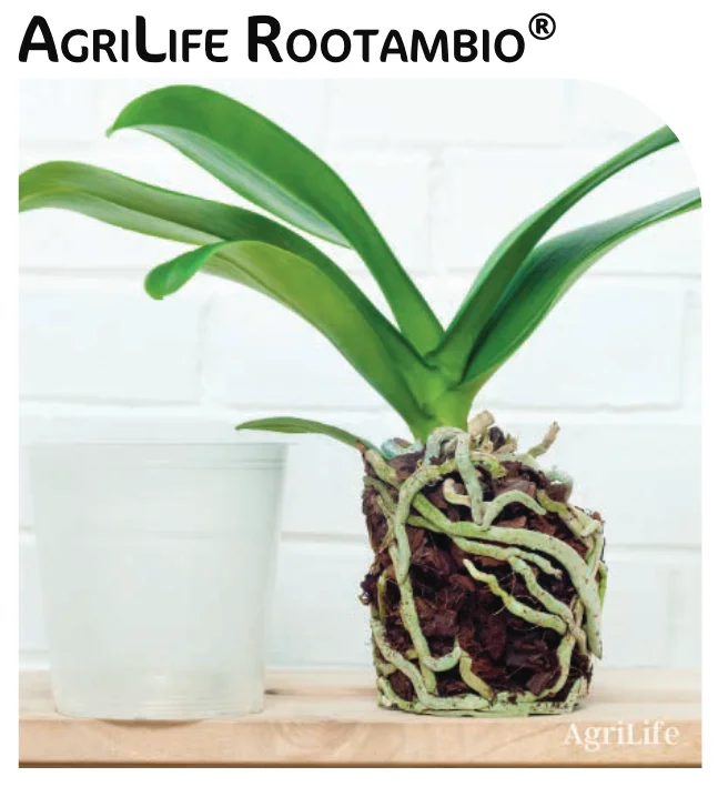 Screenshot (612).png