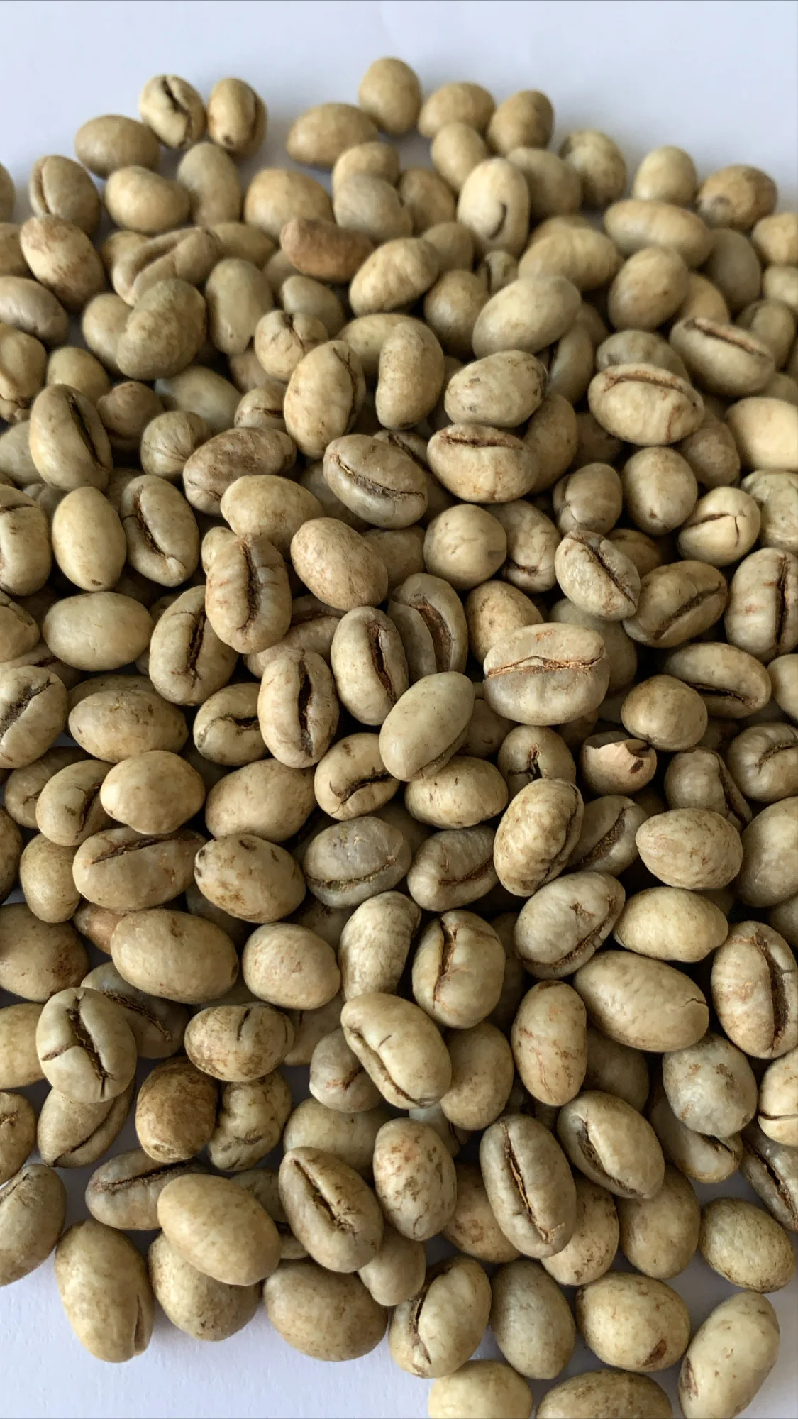 
Wholesale Vietnamese High Quality Green Coffee With Best Price Arabica Beans For Import Good Quality Raw Coffee Beans 