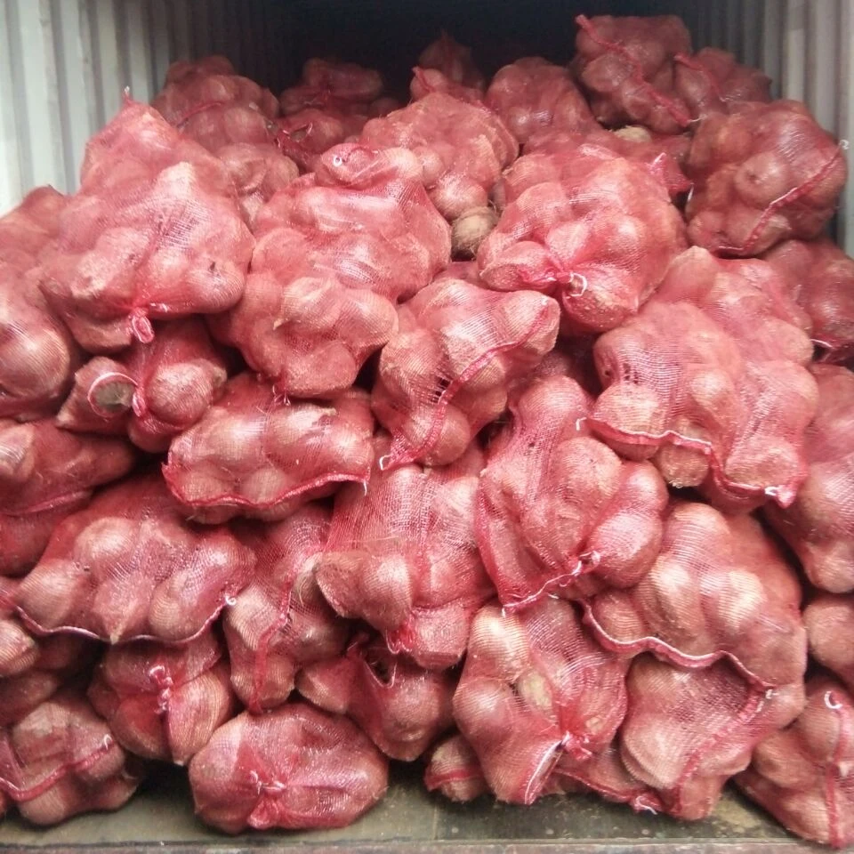 Индийский полу очищены кокоса