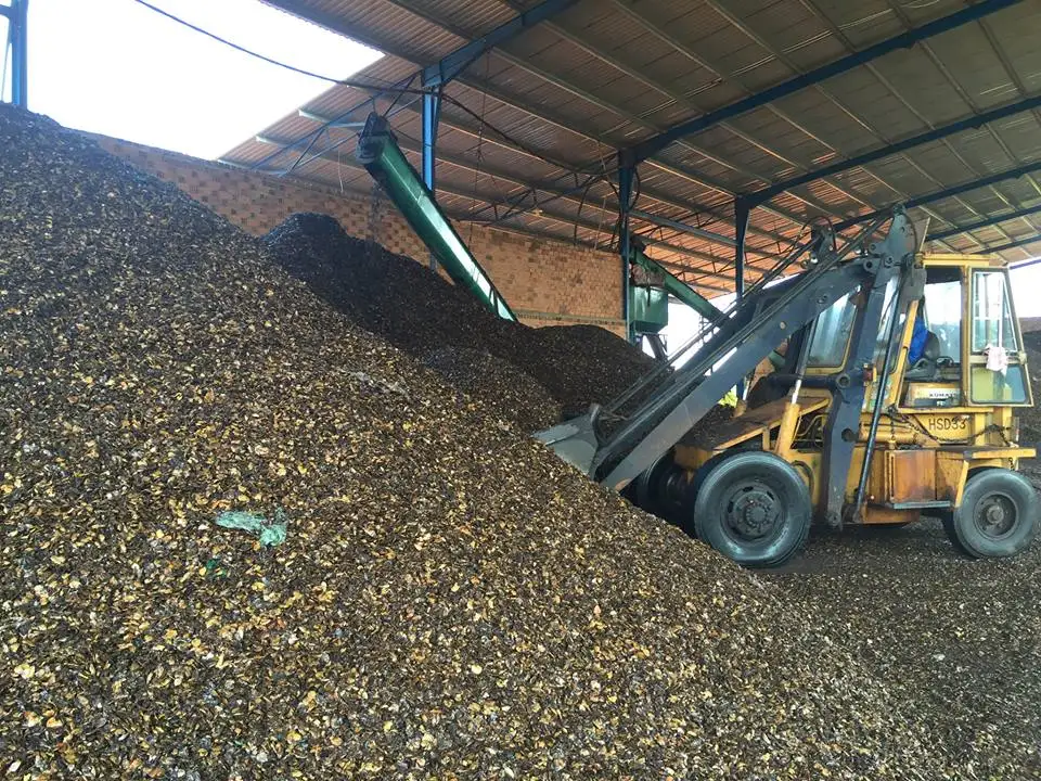 Лучший поставщик остатков скорлупы кешью скорлупа отходы для топлива в промышленности + 84902803631