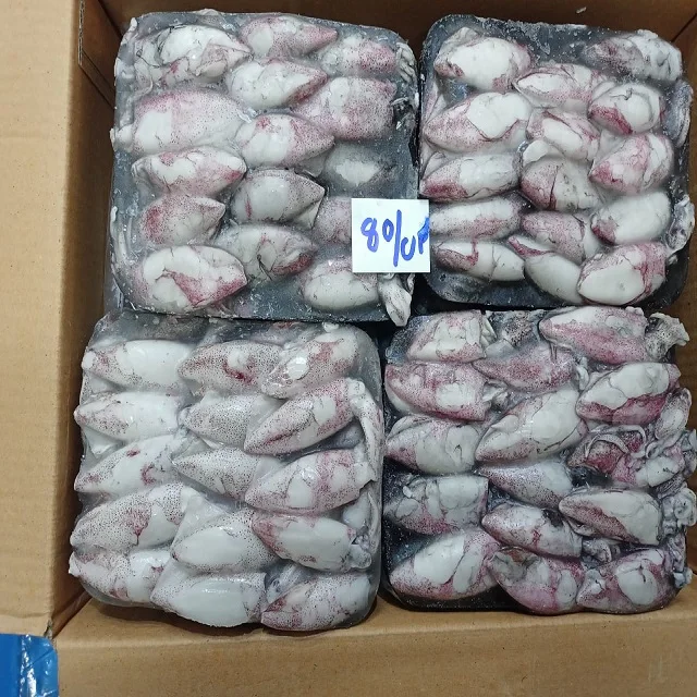 TOP QUALITY FROZEN BABY SQUID BQF FROM INDIA