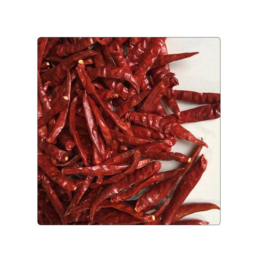 Export Good Quality Dried Red Chilli Peppers