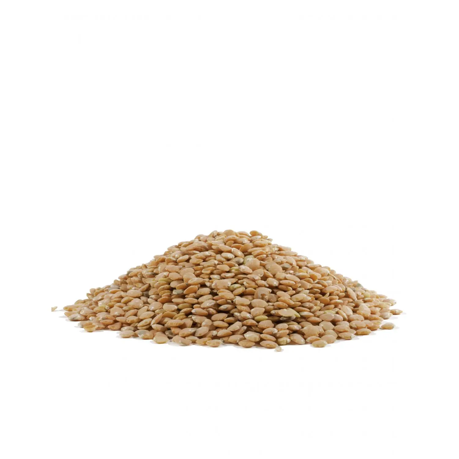 
BEST QUALITY GREEN AND RED LENTILS , LOW PRICE 