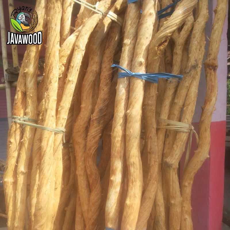 Деревянная лоза Liana Rosca dula log Liana Root Banana Monkey Cane