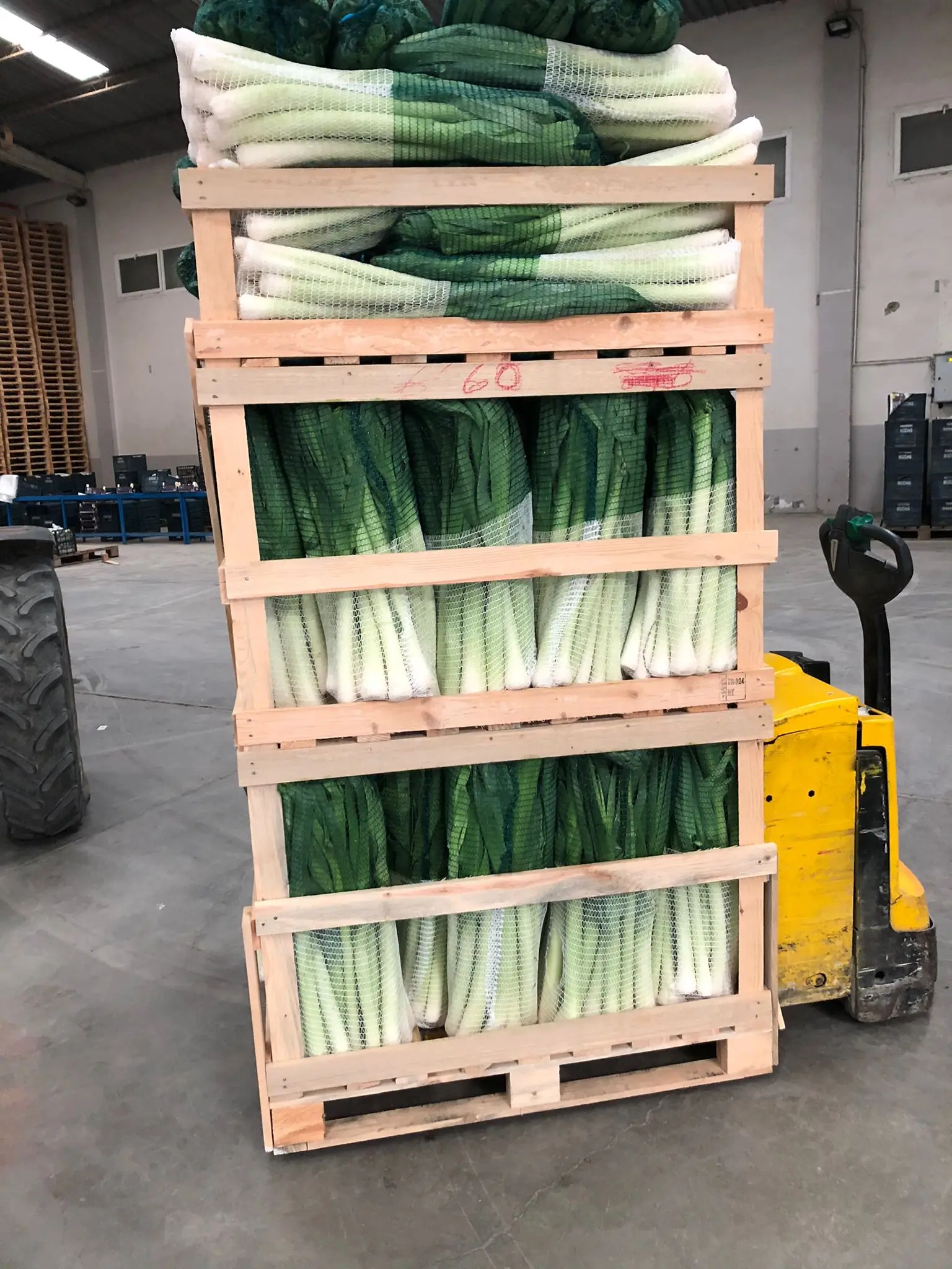 FRESH LEEKS FROM TURKEY WHOLESALE A GRADE READY TO EXPORT NEW CROP 2021