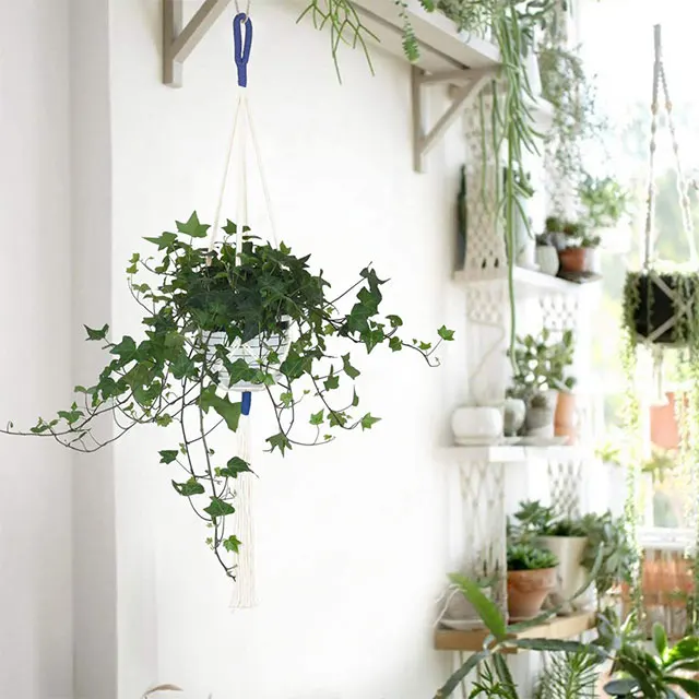 5 Pack Color Handmade Cotton Rope Macrame Plant Hanger Flower Pots Or Basket Hanging Planter Holder for Decorations 5 PCS Hooks