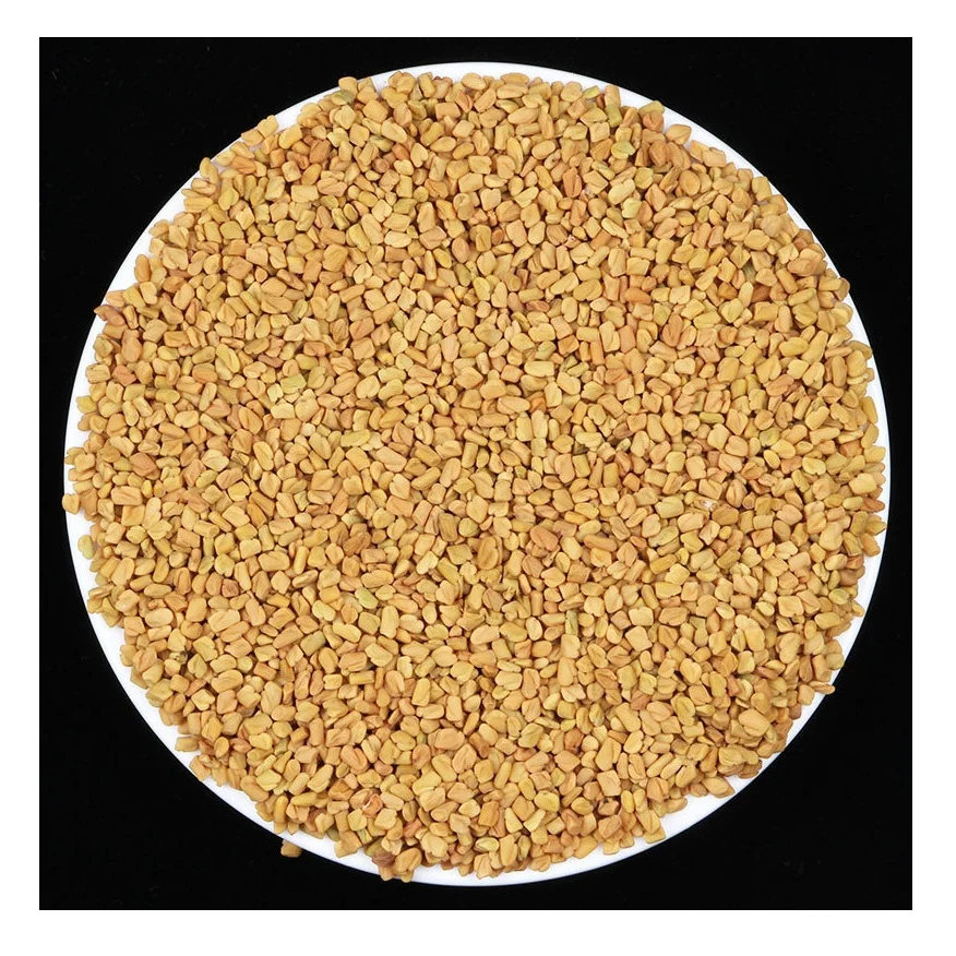 High Quality Fenugreek Seeds Available at Cheap Price