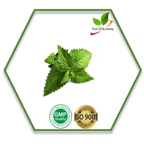 Pure Oil And Aroma 100% Pure and Natural Peppermint essential Oil for skincare and aromatherapy use best quality