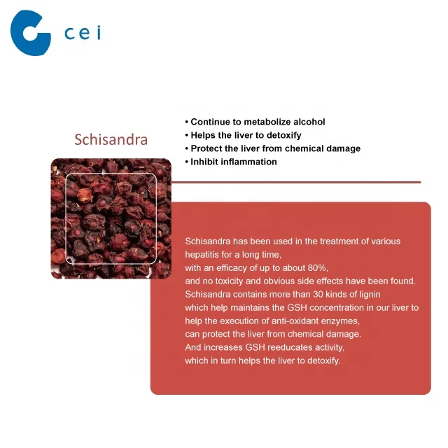 Liver Tonic Hangover Cure Arrowroot, Schisandra, Artichoke Extract