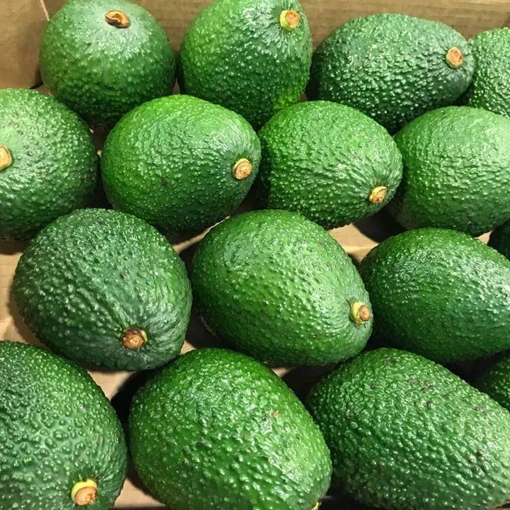 Свежий авокадо/агукат/PALTA HASS свежие фрукты