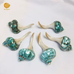 Eco-friendly Chopsticks Holder Polished Green Conch Shell Chopstick Rest Handmade Tableware Chopstick Holder