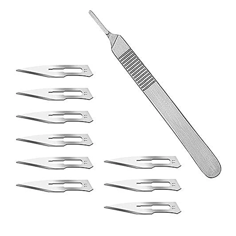 Professional Disposable Medical Surgical Carbon Stainless Steel Scalpel Blade