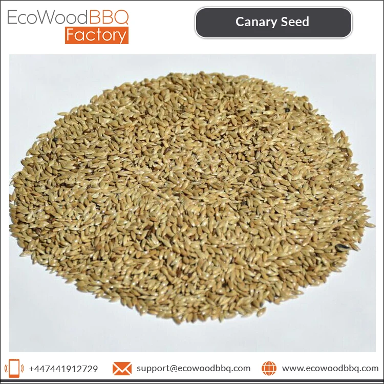 Wholesale Price of Healthy Food Natural Organic Bird Feed Canary Kernel Seeds