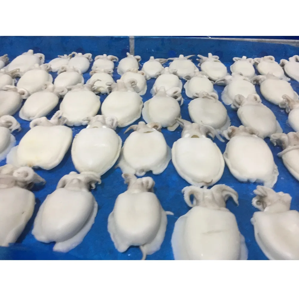 Новый продукт, замороженная цельная детская морская рыба, вьетнамская упаковка оптом из вьетнамских морепродуктов