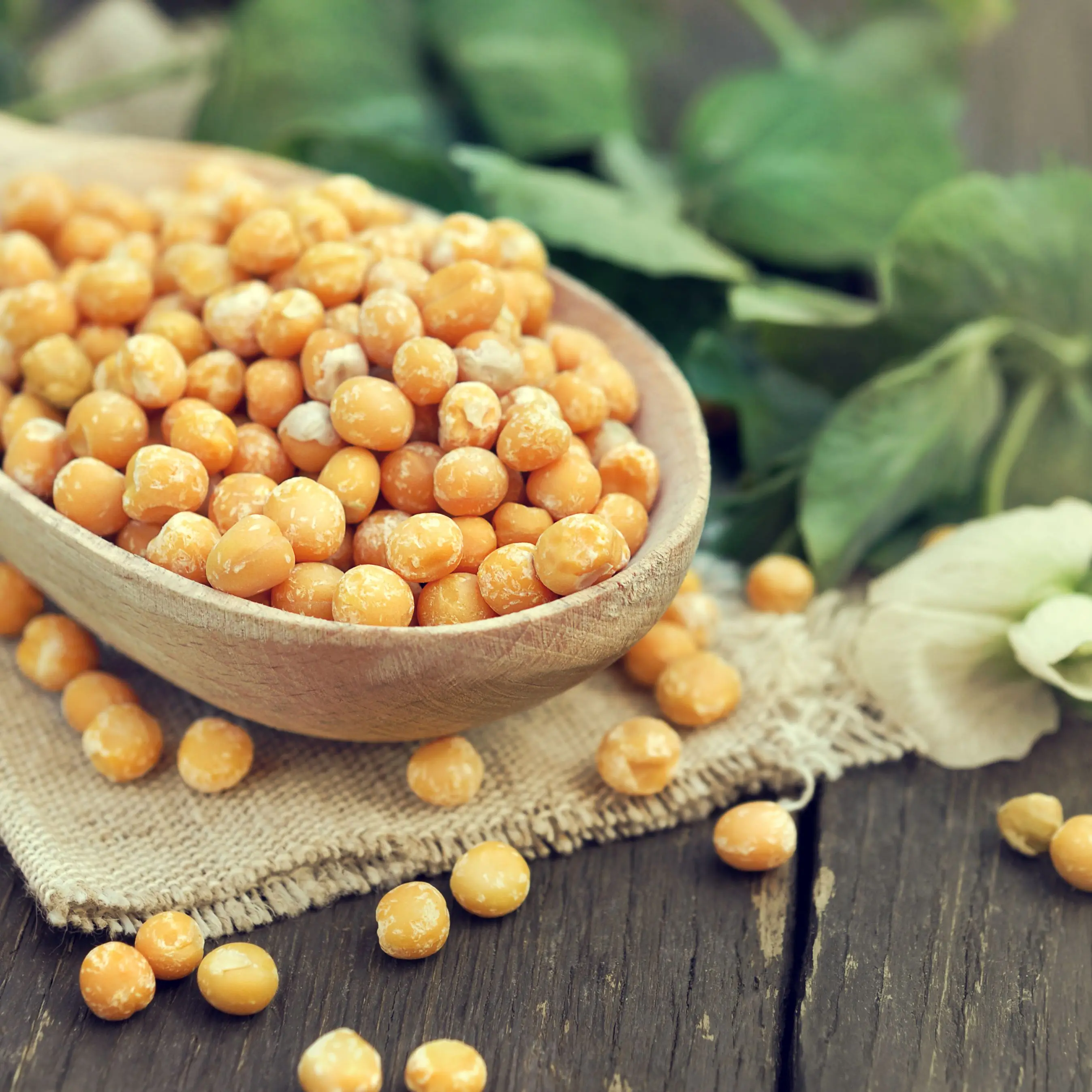 Высококачественный сухой желтый горох для производства пищевых продуктов