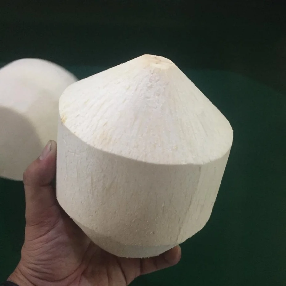 
DIAMOND COCONUT MADE IN VIETNAM +84916611103 whatsapp 