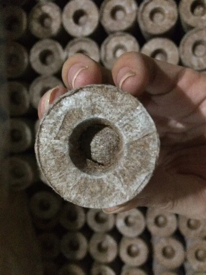 Экологичный cocopeat coir диск/кокосовые торфяные гранулы/ (Lee Tran: 0084987731263)